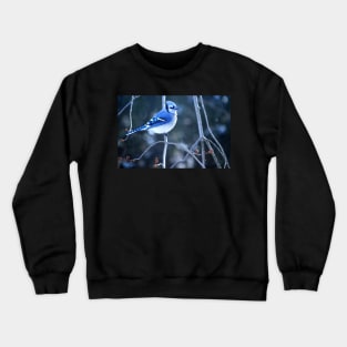 Bluejay Crewneck Sweatshirt